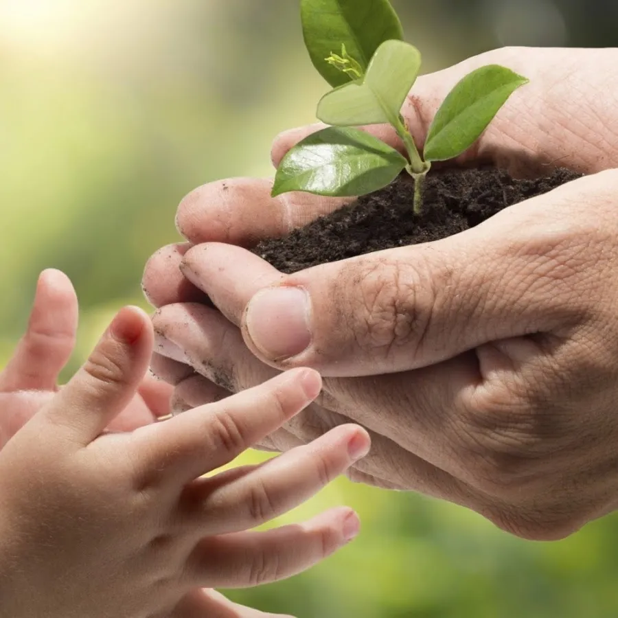 торф в москве.jpg торф в москве.jpg